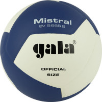 Мяч волейбольный Gala Mistral 12 BV5665S р. 5