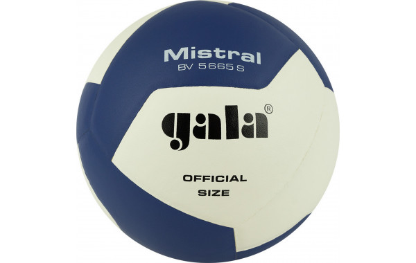 Мяч волейбольный Gala Mistral 12 BV5665S р. 5 600_380