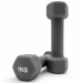 Гантель неопреновая 1кг UnixFit DBNEO1GY Grey 75_75