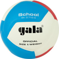 Мяч волейбольный Gala School 12 BV5715S р. 5