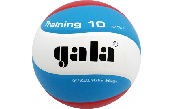 Мяч волейбольный Gala Training 10 BV5567S р.5 600_380