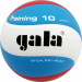 Мяч волейбольный Gala Training 10 BV5567S р.5 75_75