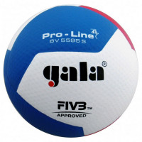 Мяч волейбольный Gala Pro-Line 12 FIVB BV5595S р.5