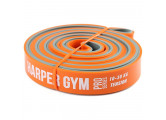 Эспандер для фитнеса замкнутый 10-30кг Harper Gym Pro Series NT18008