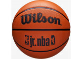 Мяч баскетбольный Wilson JR NBA DRV Fam Logo WZ3013001XB7 р.7