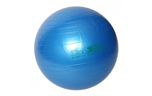 Мяч гимнастический Inex Swiss Ball BU-30 75см синий 600_380
