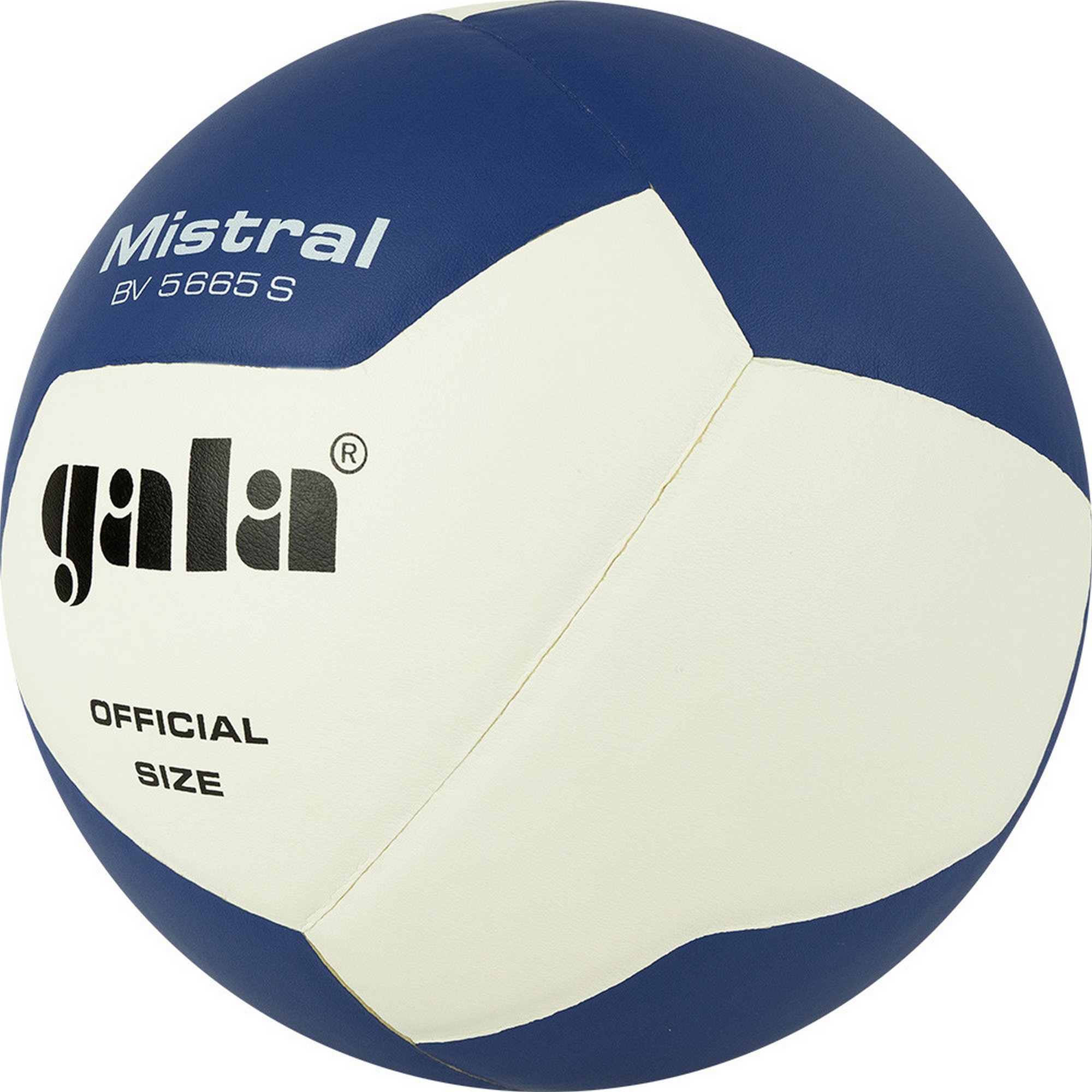 Мяч волейбольный Gala Mistral 12 BV5665S р. 5 2000_2000