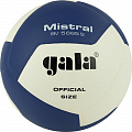 Мяч волейбольный Gala Mistral 12 BV5665S р. 5 120_120