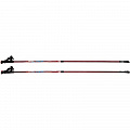 Палки для скандинавской ходьбы l90-140см Larsen Alpine 2-секционные 120_120